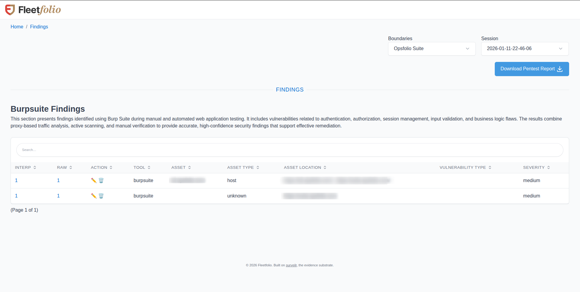Findings page showing Burpsuite findings table with search, sortable columns for interpretation, raw data, action, tool, asset, asset type, asset location, vulnerability type, and severity